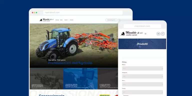 Immagine del sito Manildo Srl